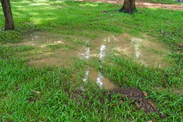 Storm Water Drainage Service in Kirkland
