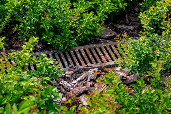 Underground Drainage Service in Kirkland
