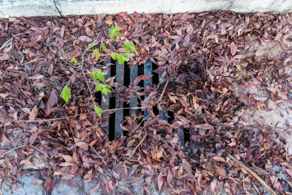 Yard Drain Unclogging in Kirkland