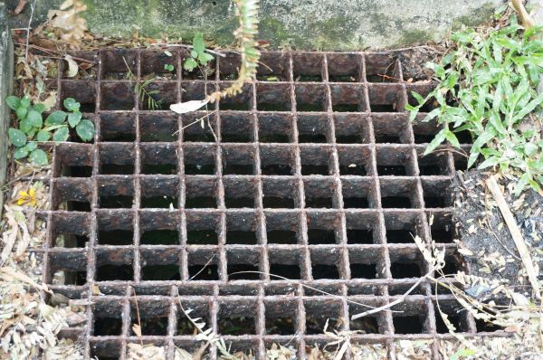 Yard Drain Cleaning in Kirkland