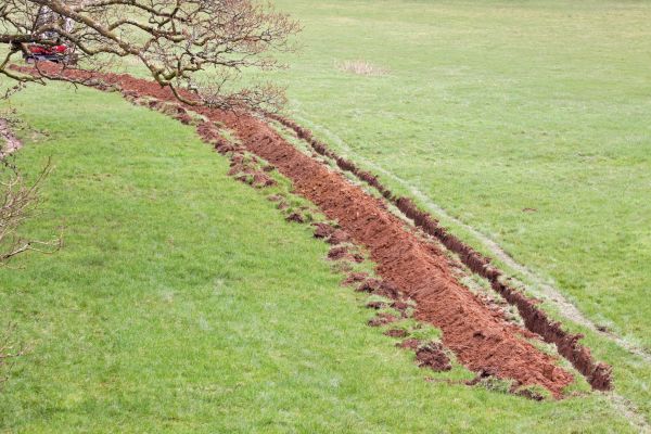 Cost of Swale Installation in Kirkland