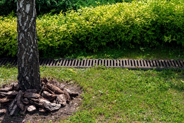 Garden Drainage Installation in Kirkland