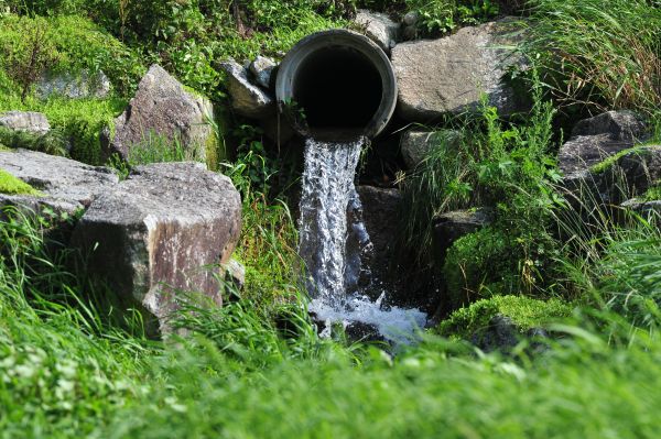 Water Redirection in Kirkland