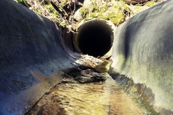 Drainage Swale Installation in Kirkland