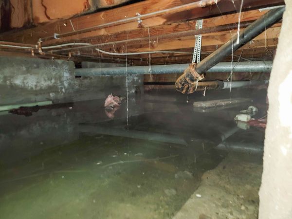 Cost of Crawlspace Drainage in Kirkland