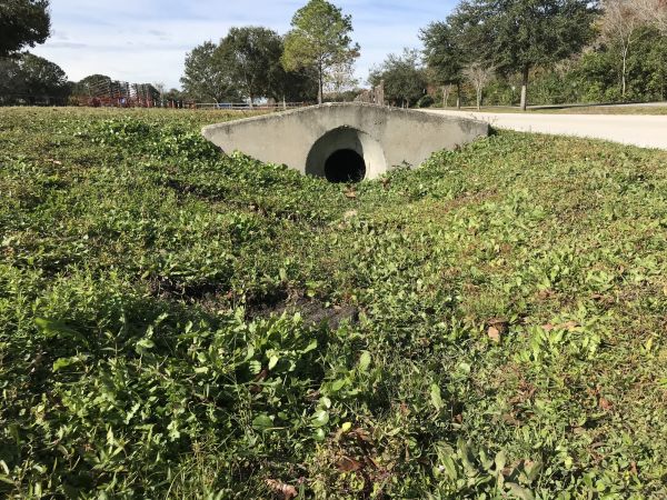 Cost of Swale Drainage Service in Kirkland